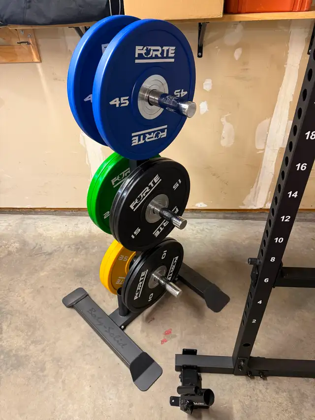 Olympic Barbell, Plate, Powertec Rack and Bench504471378849310721