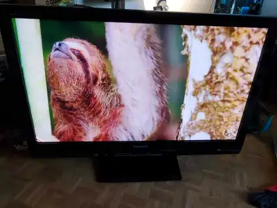 Panasonic 50 " plasma tv works great with no issue. Does not have a remote. NOT A SMART TV Asking 10...