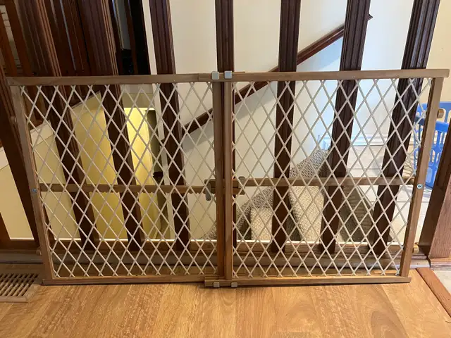 Evenflo Expandable Safety Gate