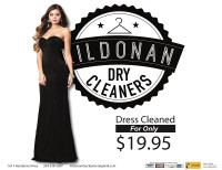 Get your Dress cleaned from only $19.95!