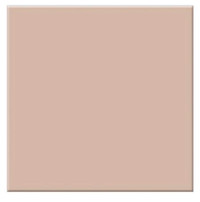 Tiffen Professional 3 x 3 Chocolate 2 Solid Color Filter