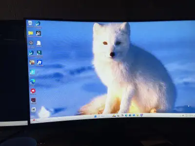 165hz monitor 50$, View more