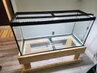 90 gallon fish tank Complete