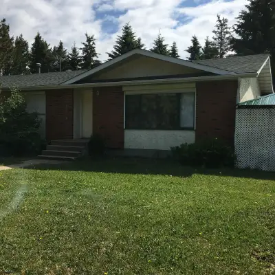 Available October 31, 2026 Self Contained Bachelor Suite with Outside Entrance Fresh Air and Mother...