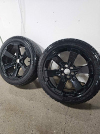 22" GM OEM wheels