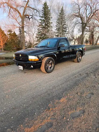 1999 Dodge Dakota R/T with 5.9 automatic. It has 198000km and is rust free and has a rubberized unde...