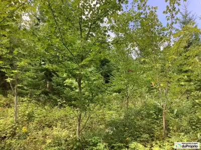Splendide terrain à vendre à Stratford dans le superbe domaine de la Héronnière. 2 acres de terre en...