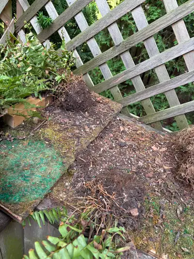 Items to be taken to dump, View more