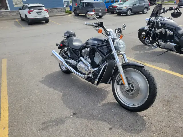 Used Harley Davidsons in Street, Cruisers & Choppers in Norfolk County - Image 6