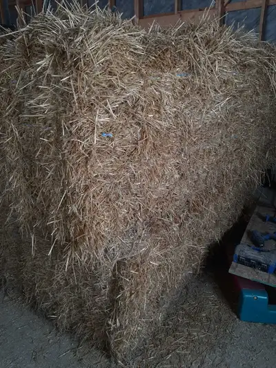 Wheat Straw 21 smalls in each bundle, View more