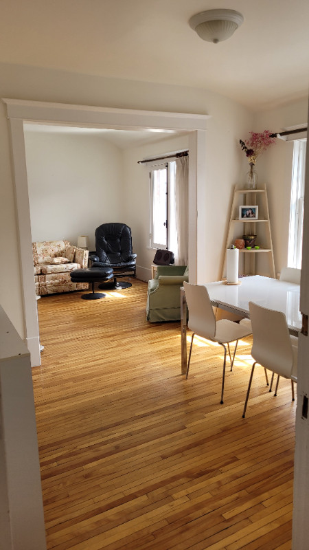 1 Room Summer Sublet in Downtown Apartment in Long Term Rentals in Peterborough - Image 3