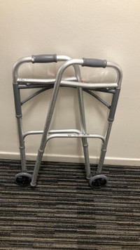 Two wheel grey walker