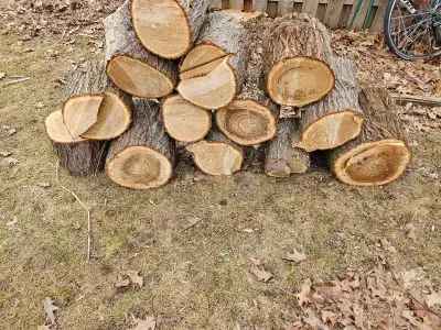 Free fire wood, View more
