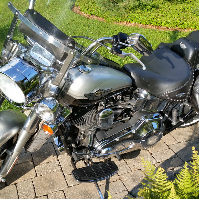 2003 Harley Davidson Softail Classic in Street, Cruisers & Choppers in St. Catharines - Image 4