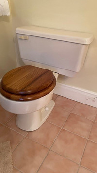 Bathroom reno - toilet for sale
