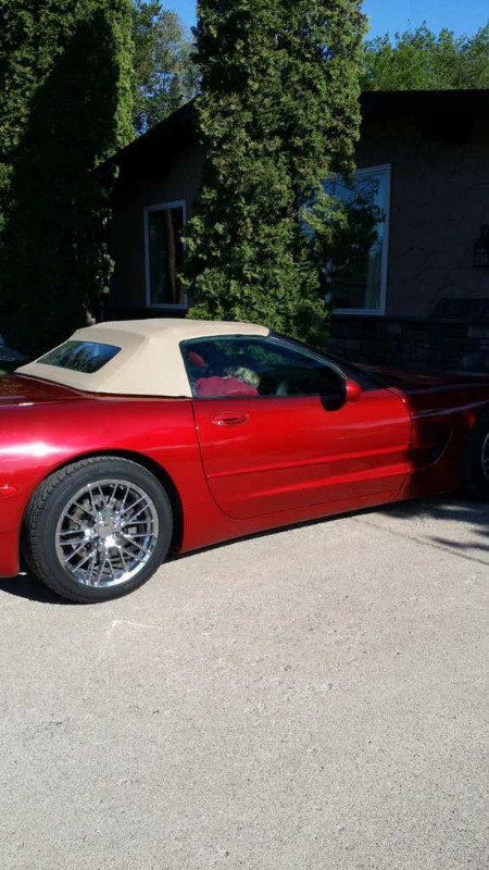 1999 convertible red corvette. $22,900obo in Cars & Trucks in Saskatoon - Image 2