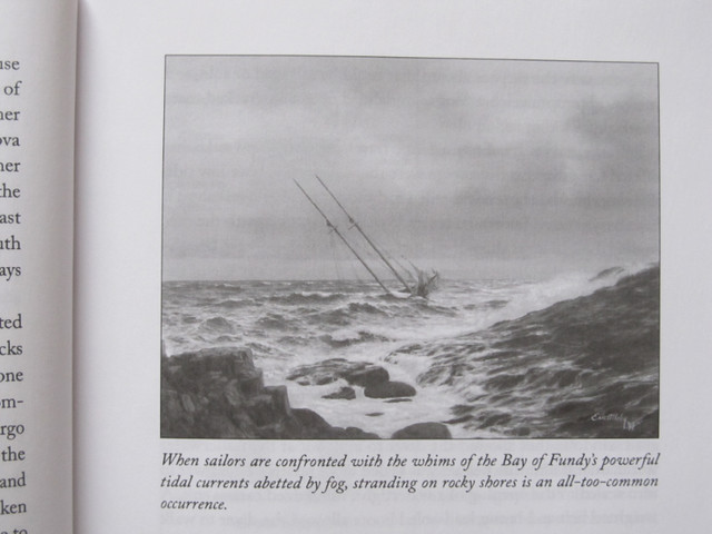 THE SEA WINS by Eric Allaby - 2022 in Non-fiction in City of Halifax - Image 4