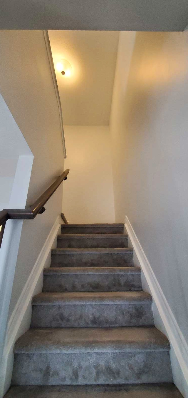 Get your staircase walls painted! in Painters & Painting in Ottawa - Image 3