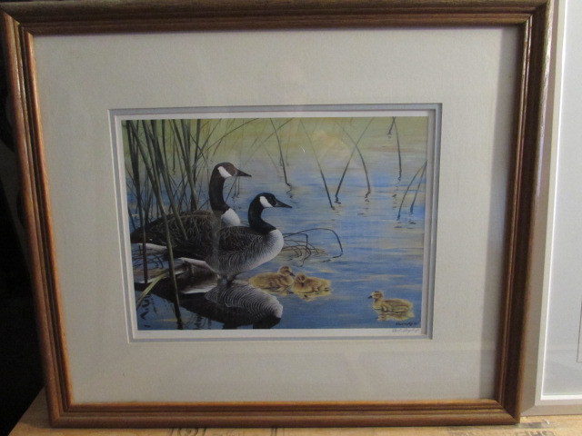 Paul Harpley "Goose Family" Framed Limited Print in Other in Hamilton - Image 2