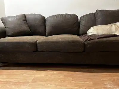 Free 3 seater couch Just purchased this past summer from ifurniture. Dog (as you can see in pic. Pug...