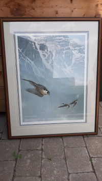 Robert Bateman Falcon Peregrine Falcon and White-throated Swifts