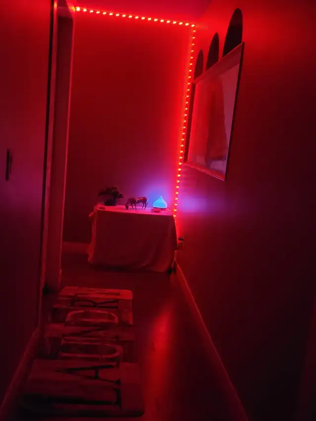 Space available in a shared room in Burnaby Holdom in Room Rentals & Roommates in Burnaby/New Westminster - Image 3