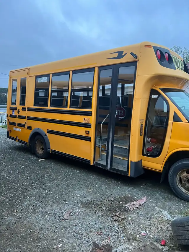 wheelchair mini bus
