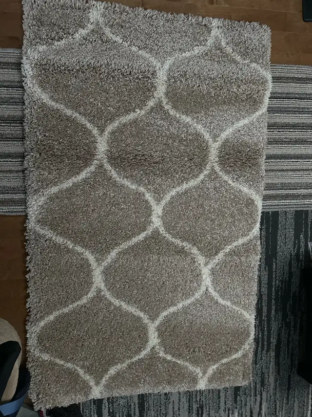 Safavieh Hudson Shag Rug in Rugs, Carpets & Runners in Oshawa / Durham Region - Image 6