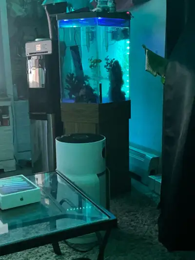 50 gallon tank with fish and heater stand light , View more