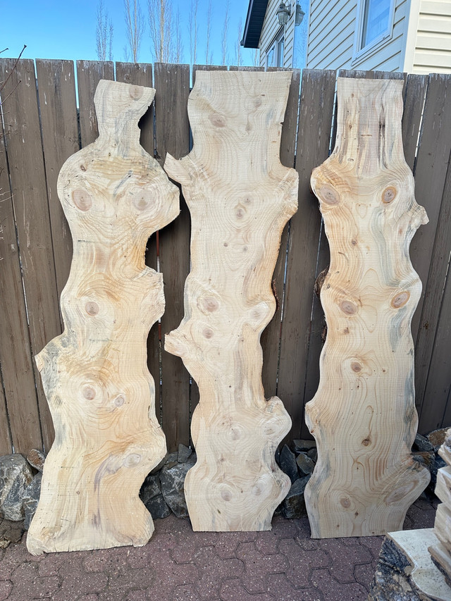 Live edge fir wood slabs DRY in Hobbies & Crafts in Calgary