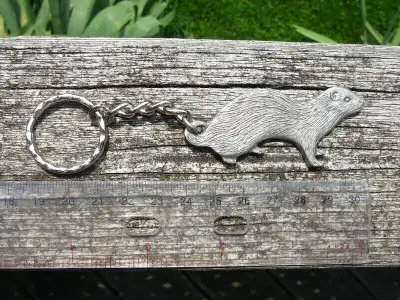 We have brand new, NEVER used gifts, depicting your favourite critter: a Ferret! They were just admi...