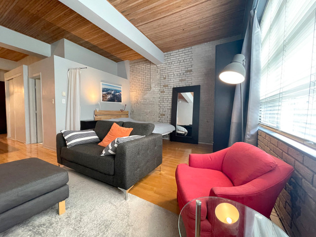 Petite-Italie/Mile-End: Superbe loft de 480 pc avec garage. dans Condos à vendre  à Ville de Montréal - Image 2