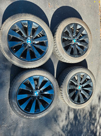 BMW OEM Wheels and Pirelli Winter Tires