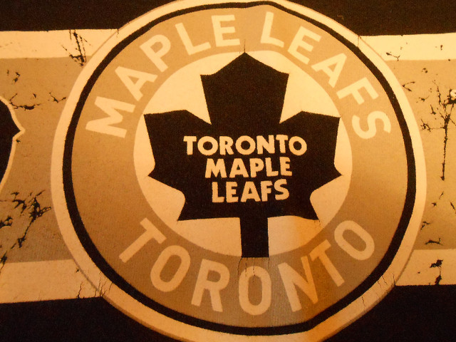 Toronto Maple Leafs in Hockey in Hamilton