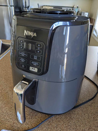 Ninja Air Fryer 3.8 L capacity, never been used