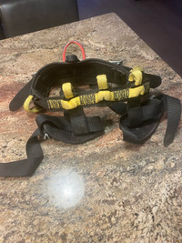 Climbing Harness