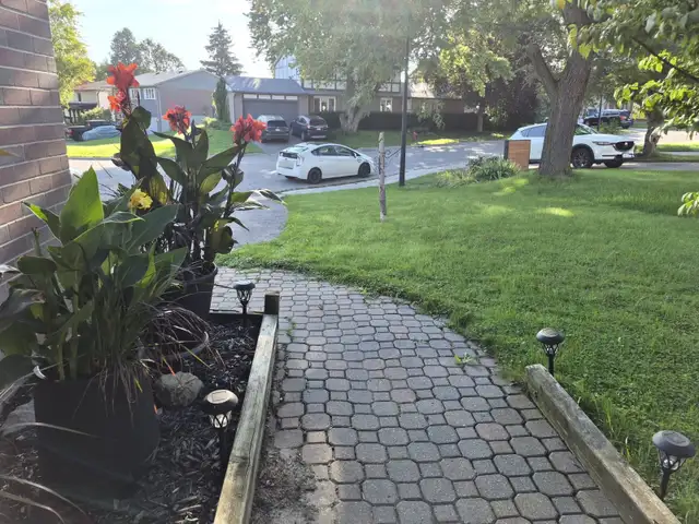 ENTIRE DETACHED HOUSE + FINISHED BASEMENT AVAILABLE FOR LEASE in Long Term Rentals in Markham / York Region - Image 3