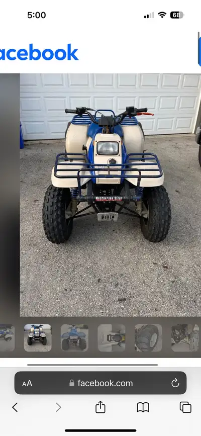 1994 Polaris 250 2 stroke Starts runs drives stops tires hold air suspension is good seed is in good...