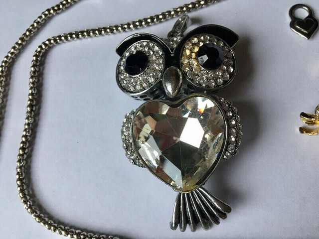 Collier hibou et autres bijoux (lot complet) dans Bijoux et montres  à Ville de Montréal - Image 2