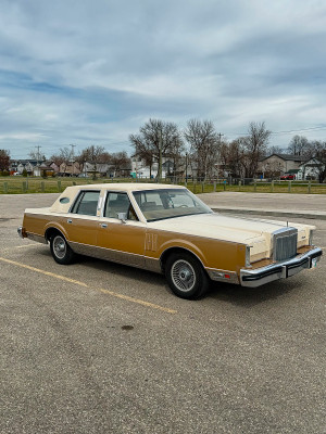 1982 Lincoln Mark Series Mark VI Emilio Pucci Edition 