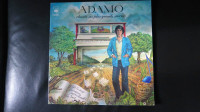 Vinyl Adamo