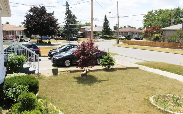 1 Large room to rent @ Finch & Weston road Sep 1-2026 in Room Rentals & Roommates in City of Toronto - Image 3