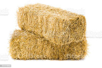 Straw Bales for Sale