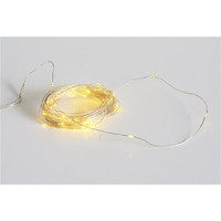 Led String Lights 50pcs with transformer 20ft / fil de lumières