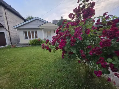 • Ideal for a small family of up to 3 people • Located within the highly sought-after Agincourt Coll...