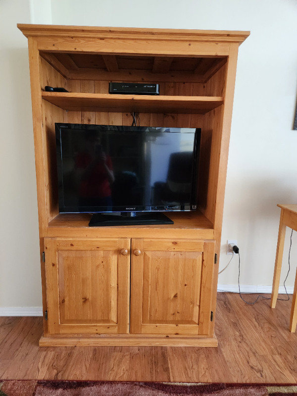 TV Stand with storage cupboard in TV Tables & Entertainment Units in Cowichan Valley / Duncan - Image 2