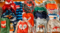 Boys’ 4T & 4 Fox Clothing Lot