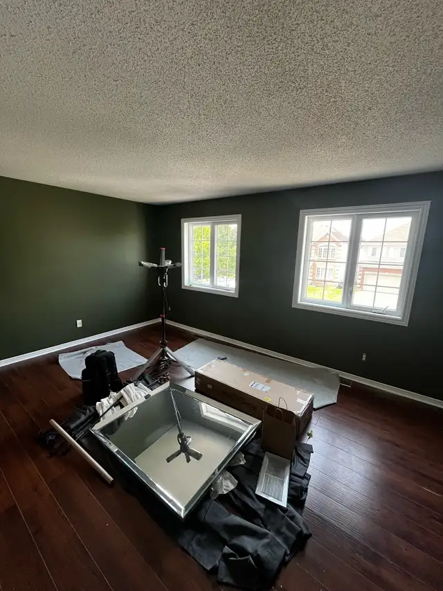 Professional Painter63235170608003122