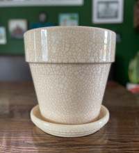Ceramic Plant Pot w/ Tray, 8”ish