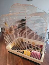 Cage et oiseaux 
